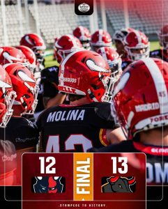 Madrid Bravos Hamburg Sea Devils