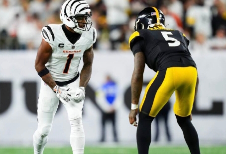 Bengals vs Steelers