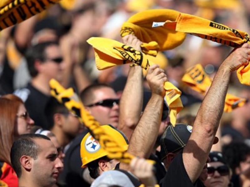 Terrible towel fans